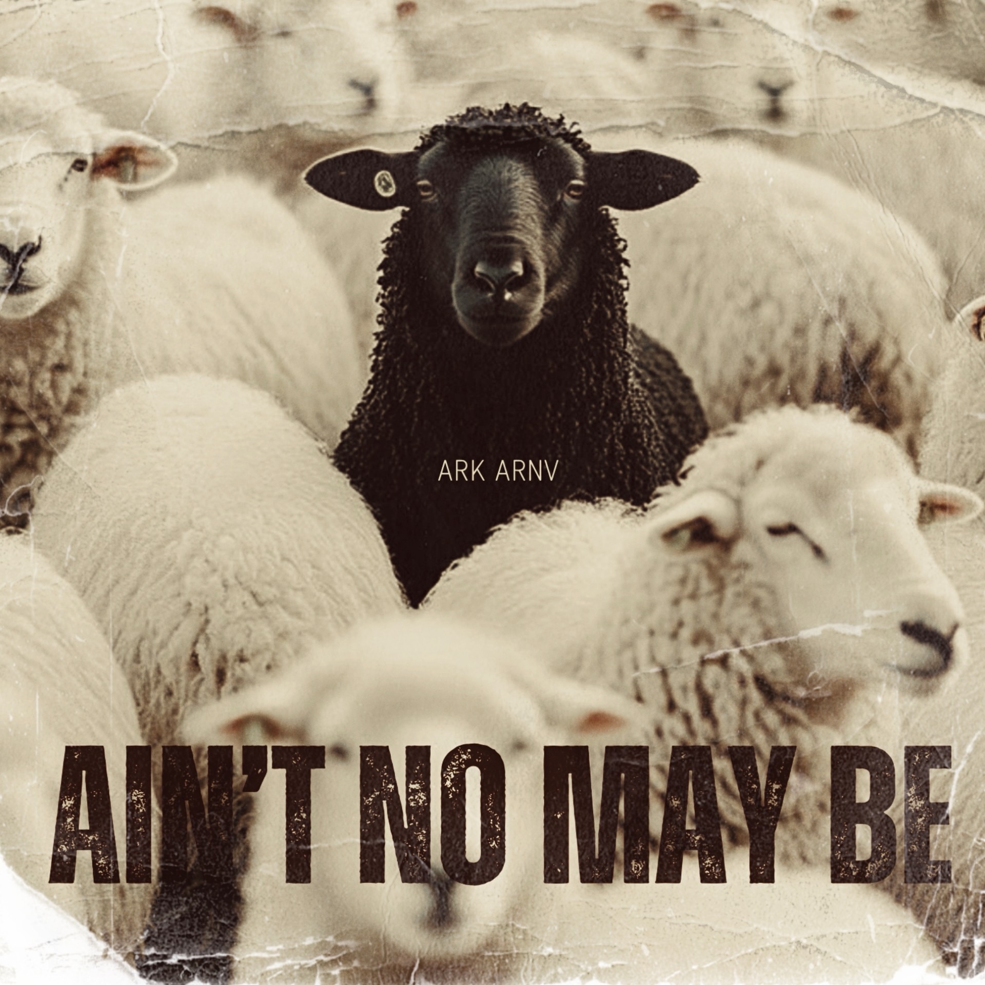 AIN'T NO MAY BE cover